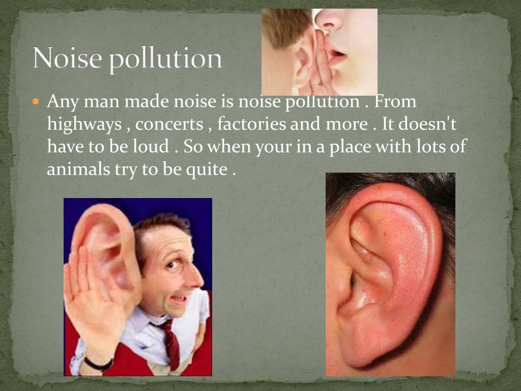 Noise Pollution Powerpoint Noise Pollution Powerpoint