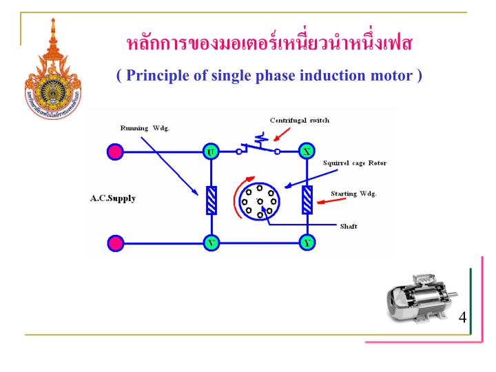 Shaded pole single phase induction motor ppt