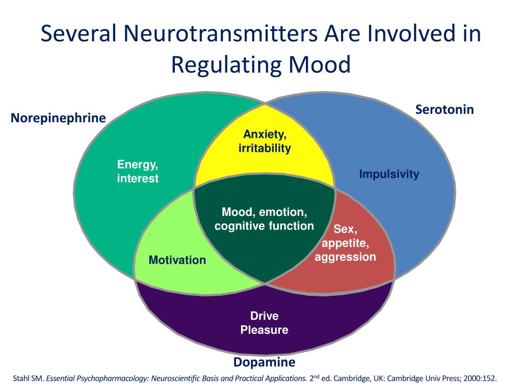 PPT - Neurobiology of Norepinephrine & The Role of SNRI in Depression ...