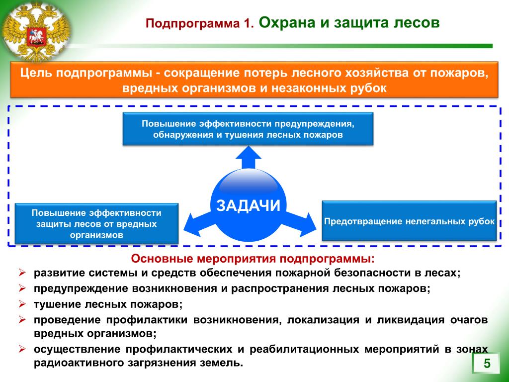 Защита программы развития