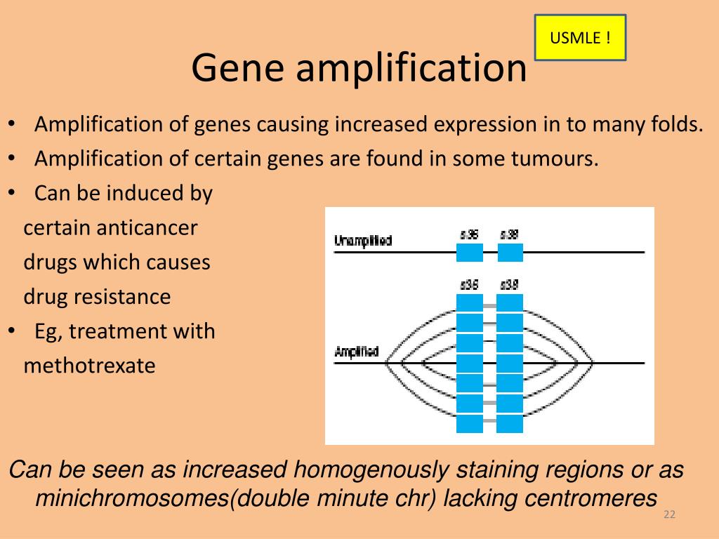 PPT Biochemistry of cancer PowerPoint Presentation, free download