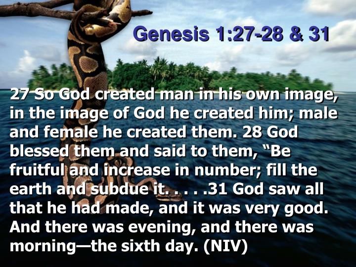 41 Best Ideas For Coloring Genesis 1 27 41-best-ideas-for-coloring-genesis-1-27