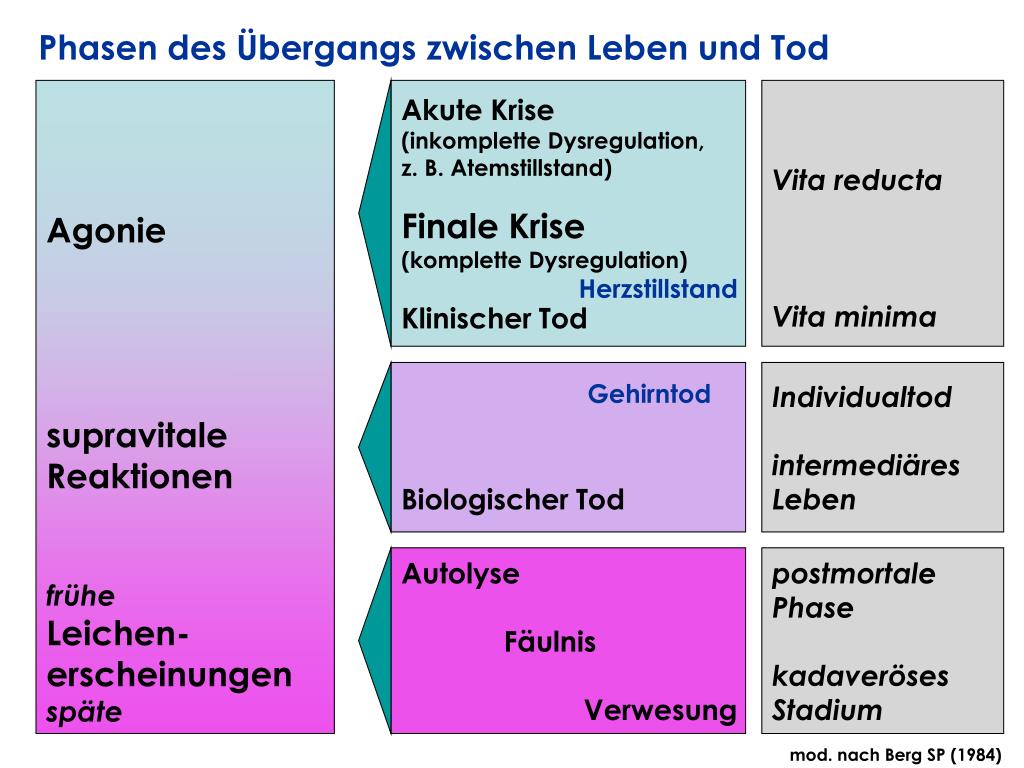 Klinisch Tot Und Wieder Am Leben www.slideserve.com