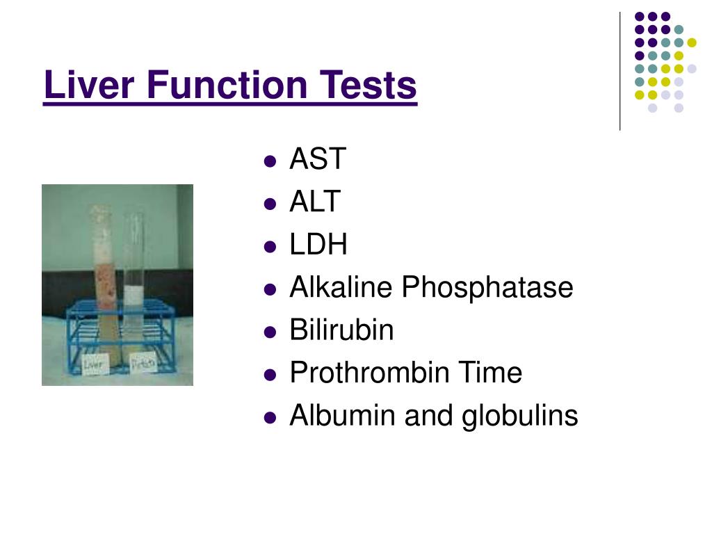 PPT The Liver PowerPoint Presentation, free download ID5604536