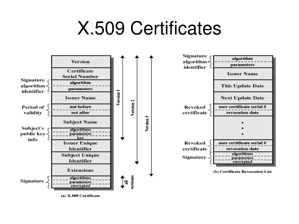 X509 certificate signed by unknown authority. Стандарт x.509 v.3. Формат сертификата x.509. Структура x509 Certificate. Структура сертификата x.509.