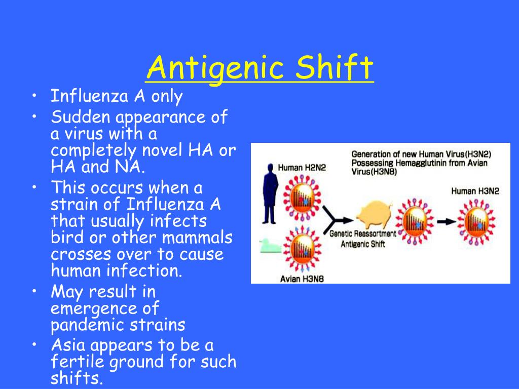 antigenic shift covid 19 antigenic shift covid 19