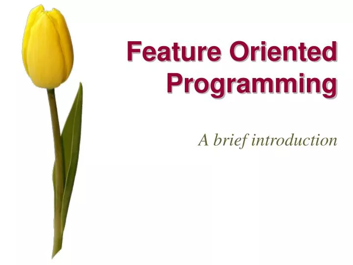 PPT - Feature Oriented Programming PowerPoint Presentation, free ...