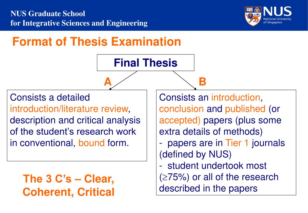 nus thesis examination