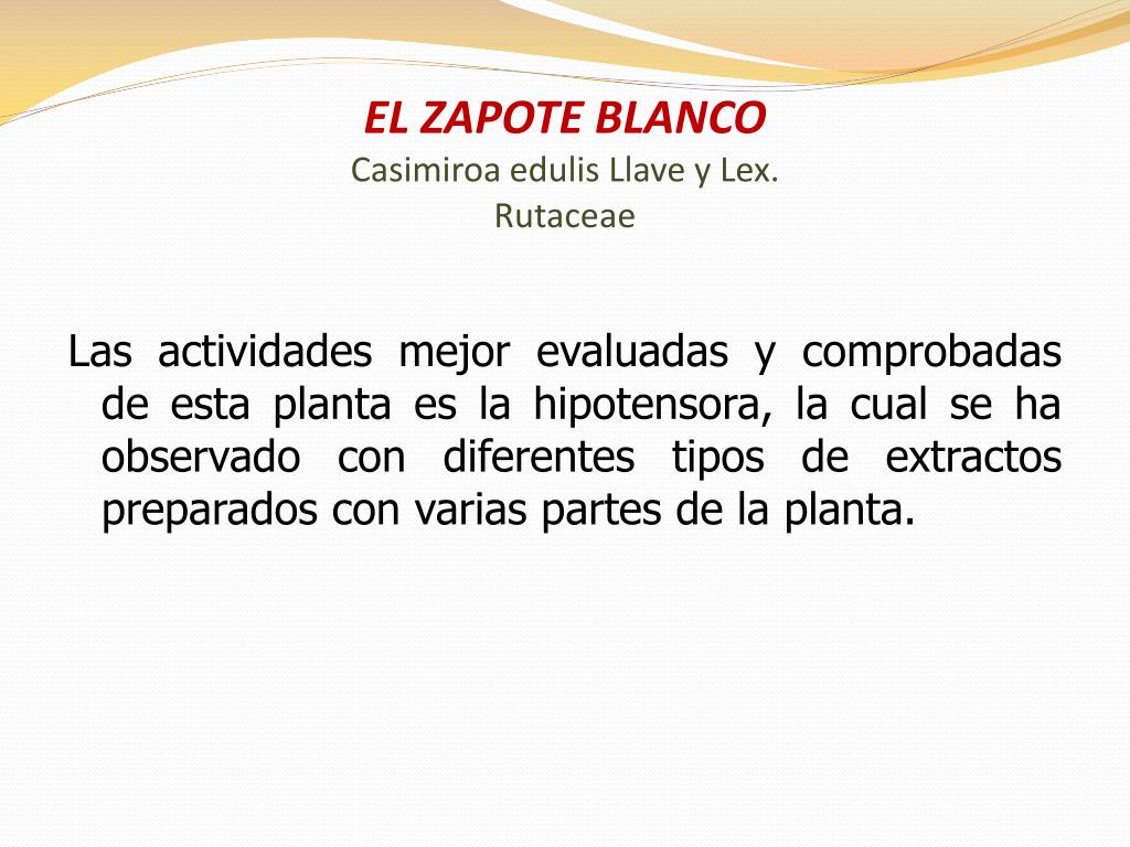 Ppt Presenta Estudiante Jesus Ocampo Evadista Profesor Mario