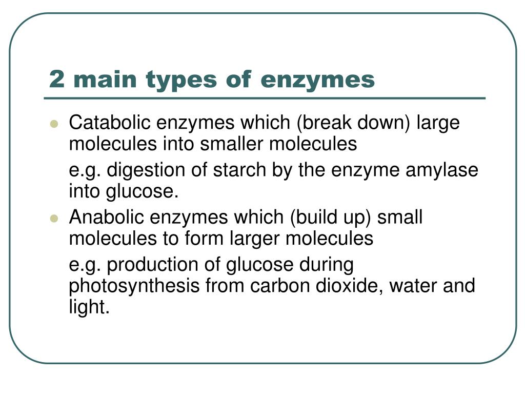 PPT Revision lesson on enzymes PowerPoint Presentation, free download