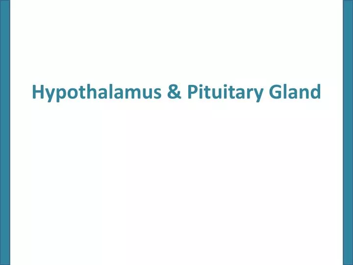 hypothalamus pituitary gland n.