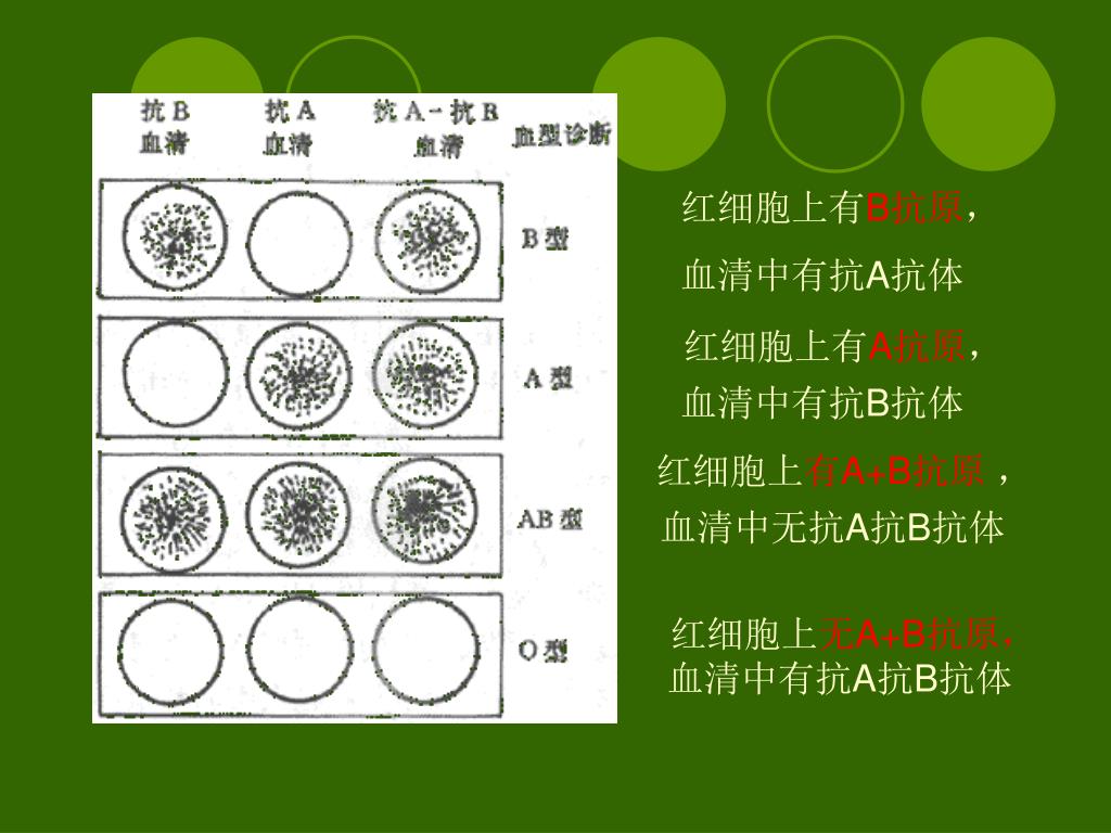 ABO、RhD血型抗原检测卡-中山市生科试剂仪器有限公司