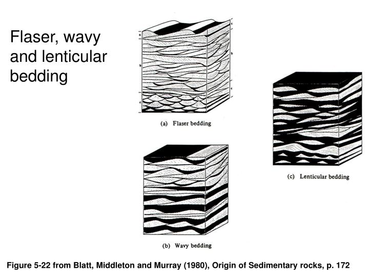 Lamination Rocks PPT - Geology 103 Sedimentology and Stratigraphy Tim Horner Geology ...
