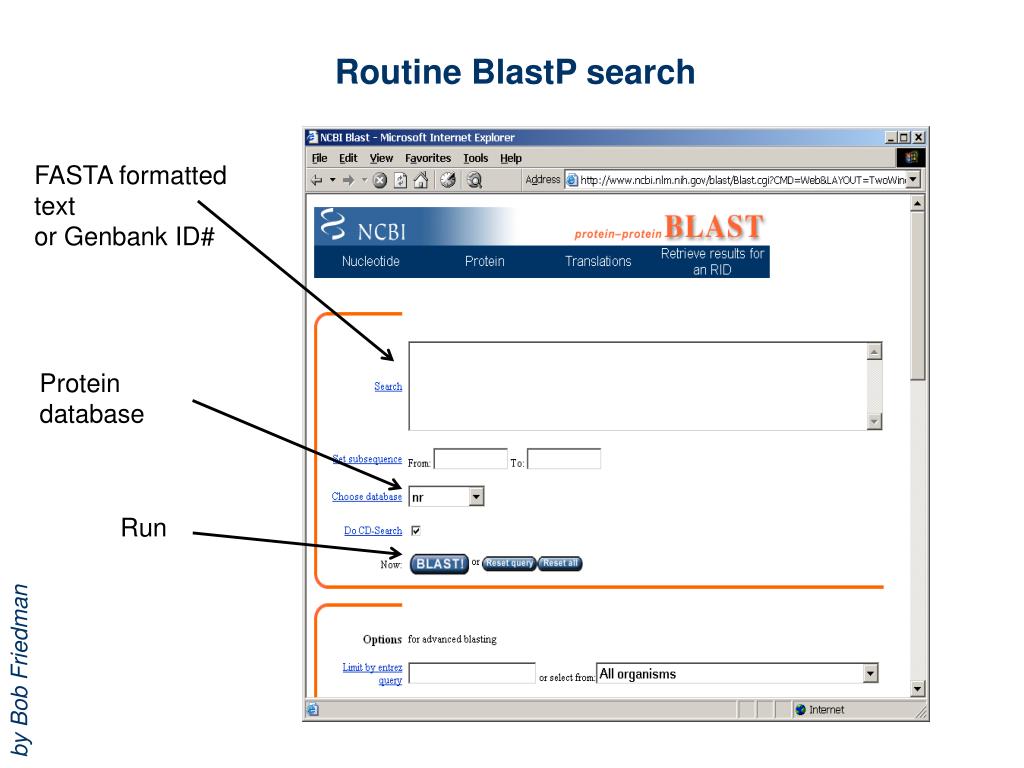 Формат фаста. BLASTP. База данных GENBANK(NCBI). Программы Blast search. Инструменты Blast BLASTP.
