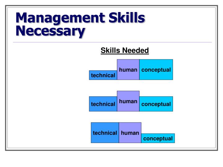 technical human and conceptual skills