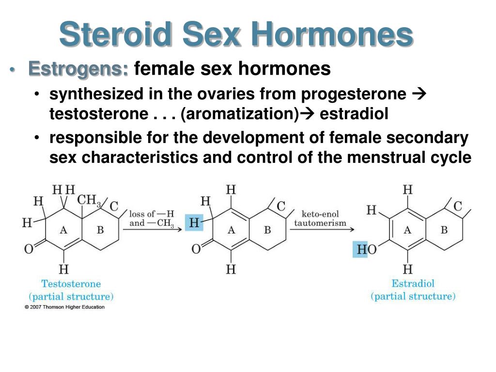 Ppt Steroid Hormones Powerpoint Presentation Free Download Id5620268 