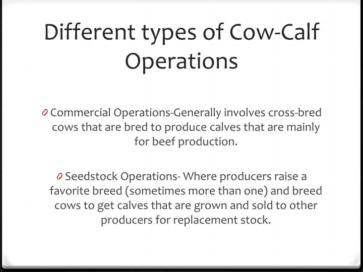 PPT CowCalf Operations PowerPoint Presentation ID5620421