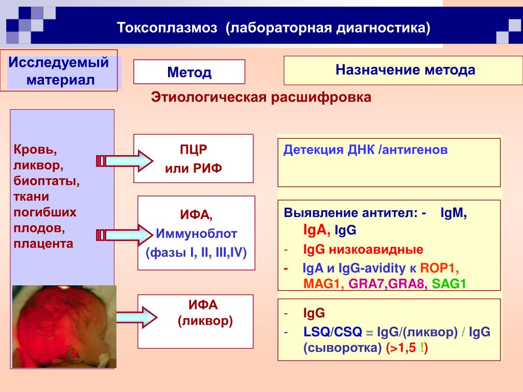 Токсоплазмоз диагностика