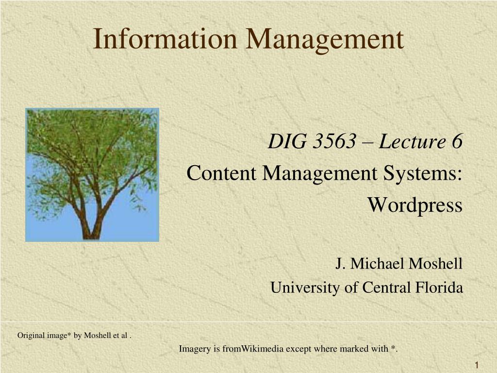 PPT - Information Management PowerPoint Presentation, Free Download ...