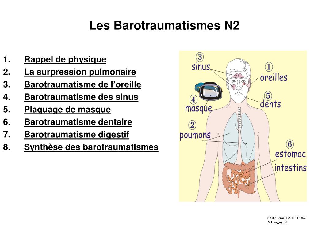 PPT - Les Barotraumatismes N2 PowerPoint Presentation, free download -  ID:5621560