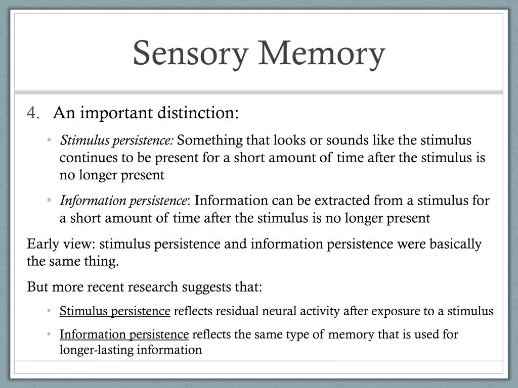sensory memory essay