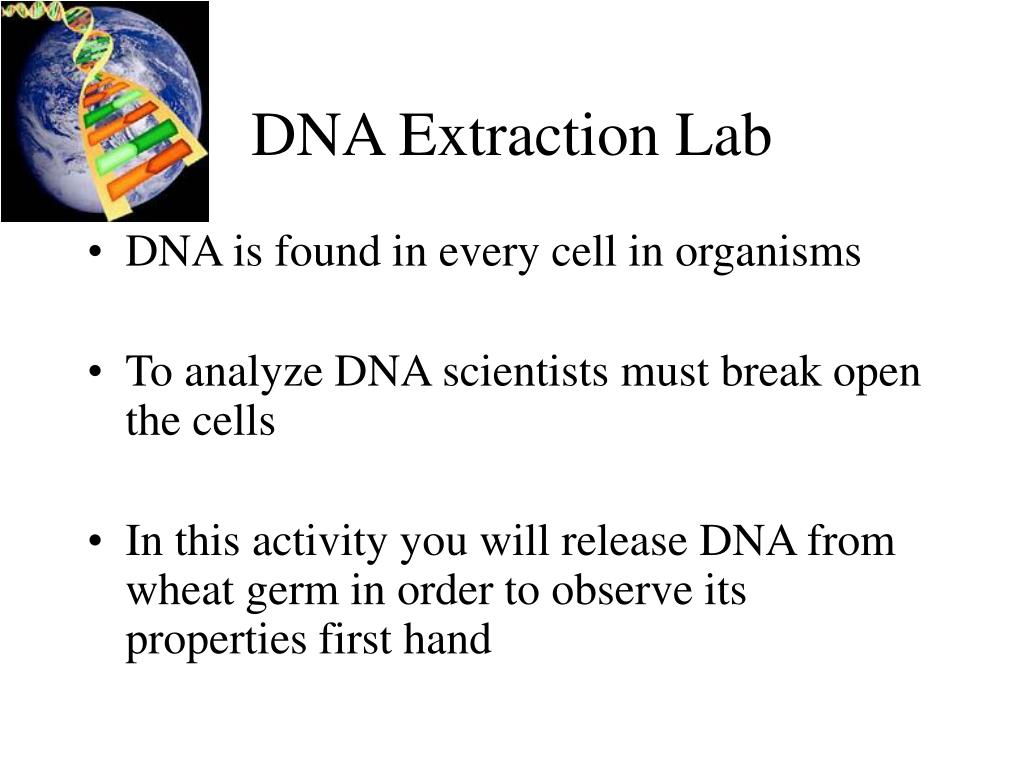 PPT - DNA Extraction Lab PowerPoint Presentation, free download - ID ...