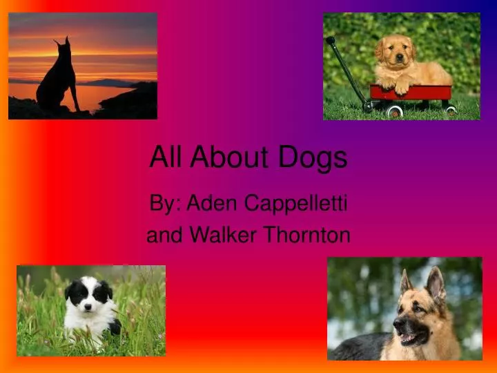 PPT All About Dogs PowerPoint Presentation, free