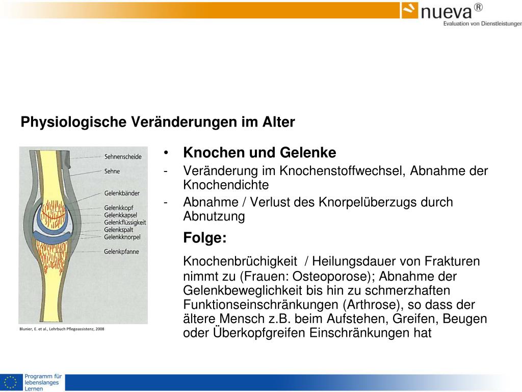PPT - Veränderung im Alter PowerPoint Presentation, free download - ID