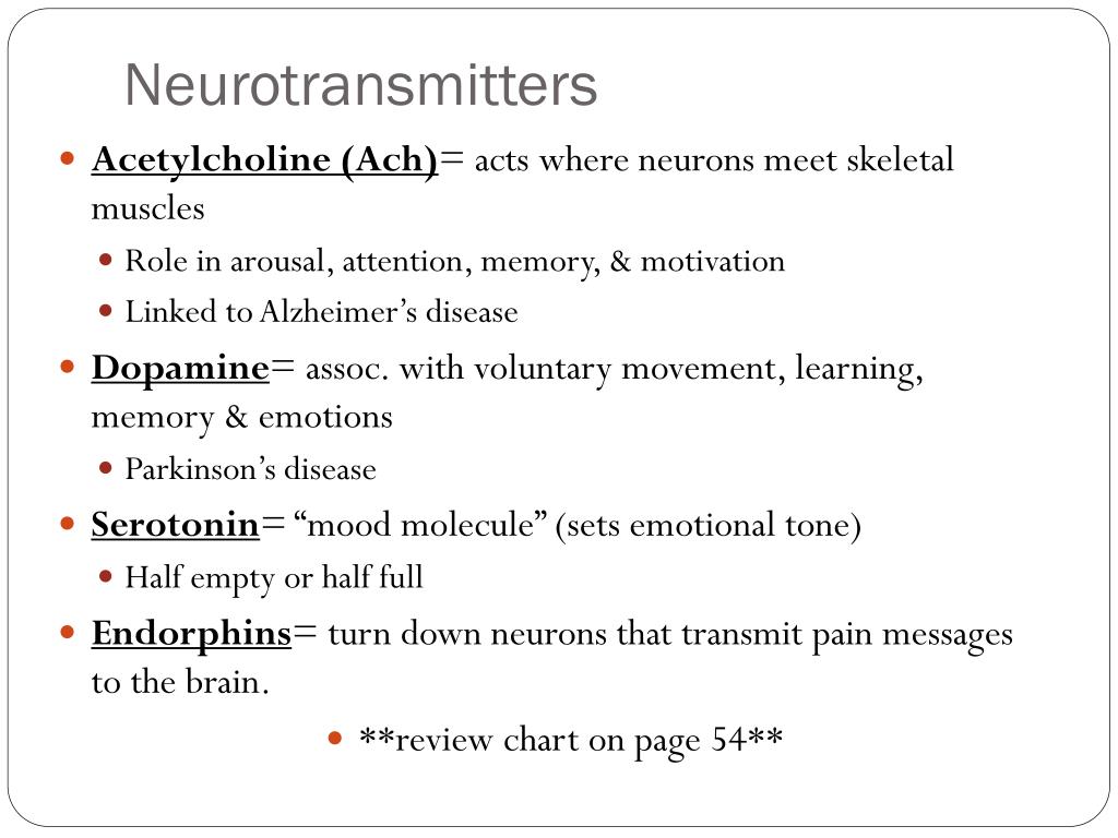 PPT - Chapter 2 The Biological Basis of Behavior PowerPoint ...