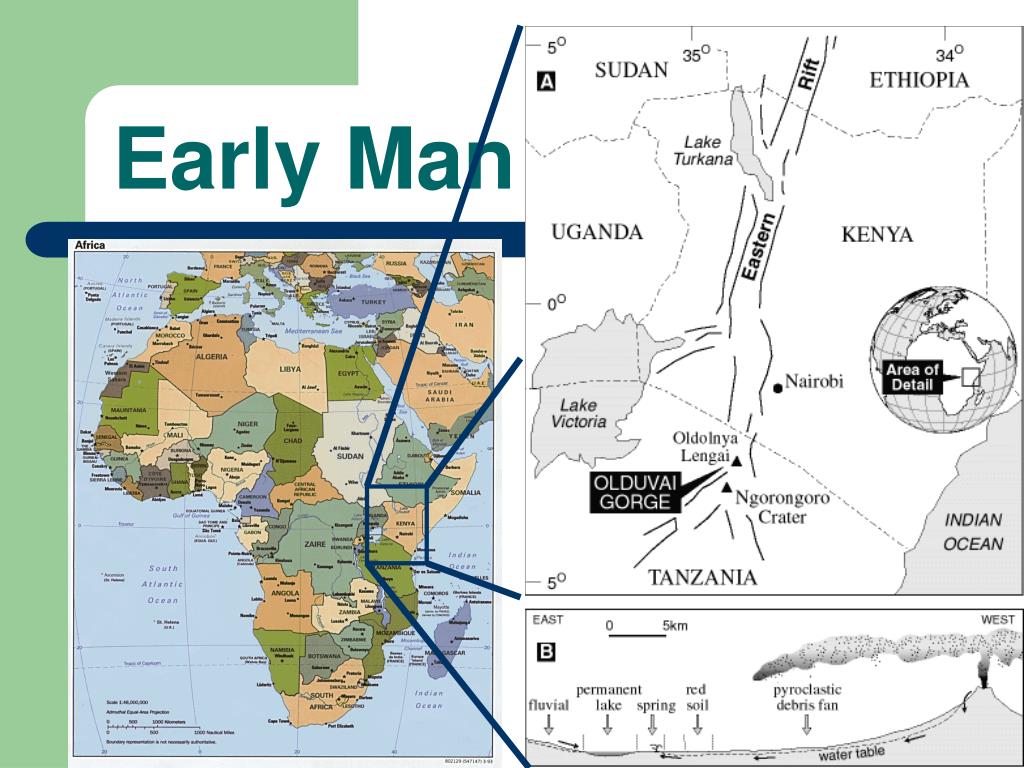 what were the motives for imperialism in africa what were the motives for imperialism in africa