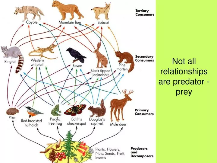 Not all relationships are predator Biology Diagrams