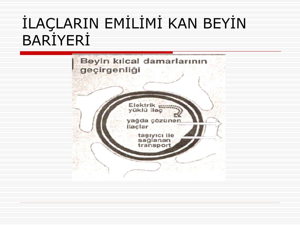 Kan Beyin Bariyeri Ve Ilac Salinimi Bilgiustam