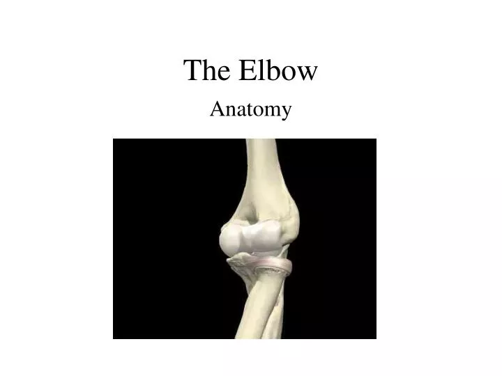 PPT The Elbow PowerPoint Presentation, free download ID5625649