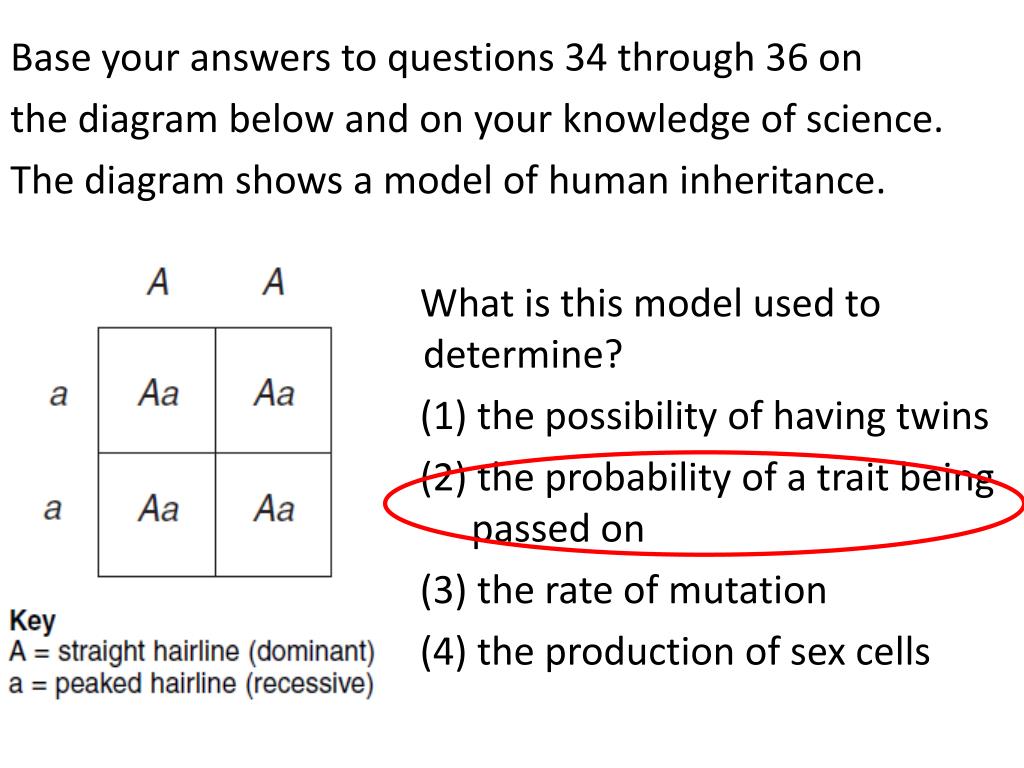 Ppt Topic Final Exam Review Aim Let S Review Reproduction And Genetics Powerpoint Presentation Id 5625964