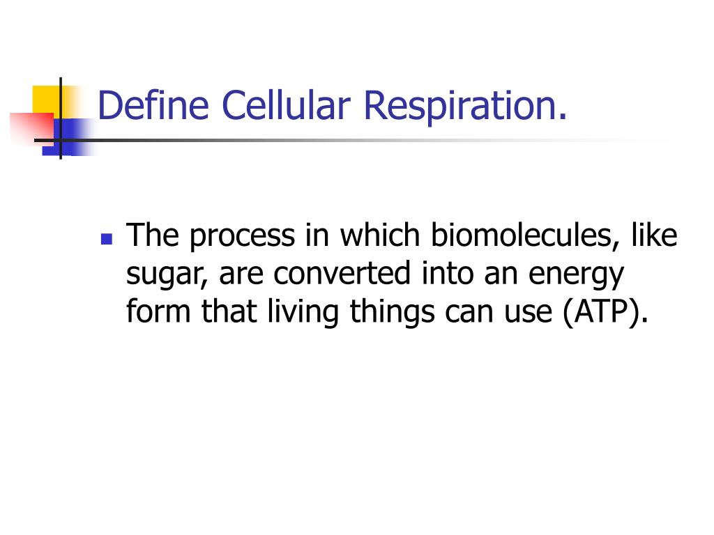 Ppt Define Cellular Respiration Powerpoint Presentation Free Download Id 5626510