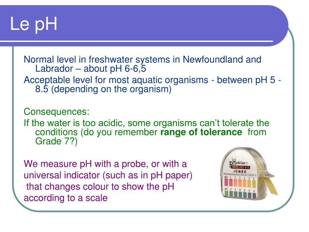 Ppt Evaluating Water Quality Powerpoint Presentation Free Download Id 5626828
