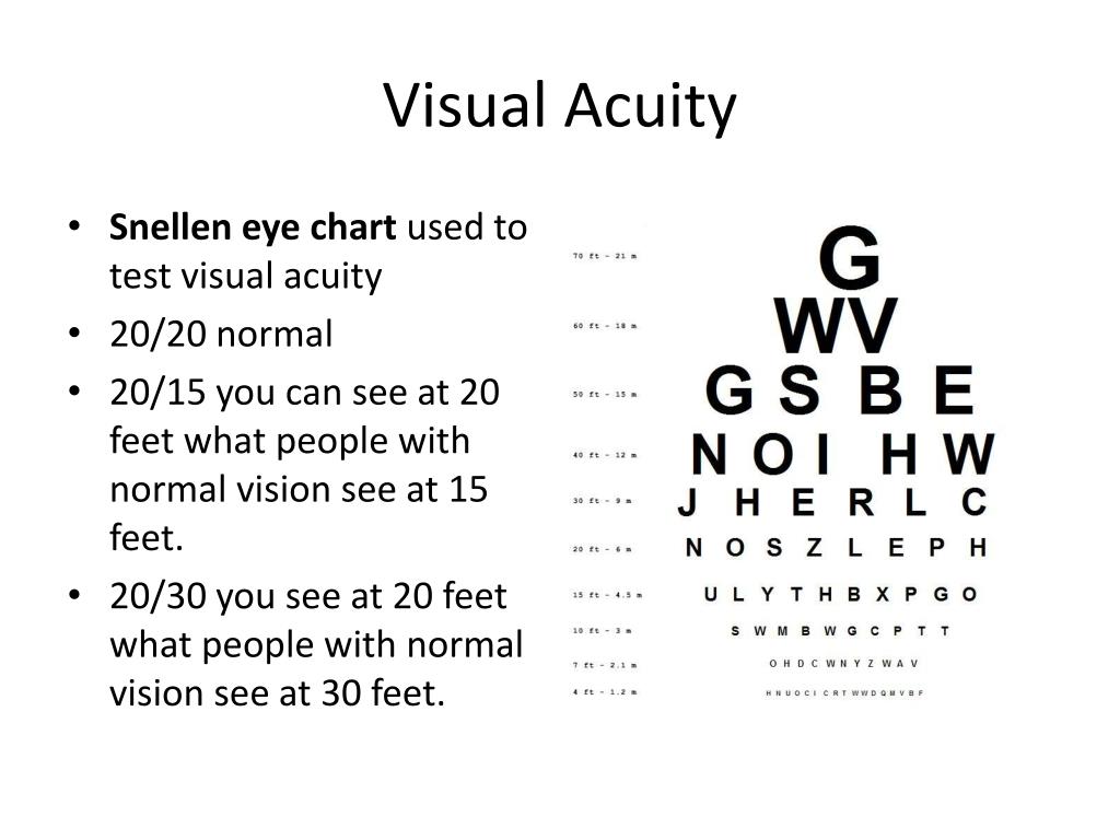 PPT Eye and Vision PowerPoint Presentation, free download ID5626831