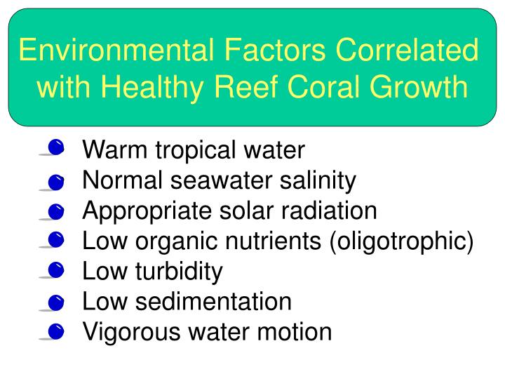 the beauty of the coral reefs and factors affecting their growth A comparison of java and c in computer programming language 2 the beauty of the coral reefs and factors affecting their growth loss of biodiversity 10 by 2025 as many as one fifth of all animal species buy school papers may be lost, gone forever. the beauty of the coral reefs and factors affecting their growth A comparison of java and c in computer programming language 2 the beauty of the coral reefs and factors affecting their growth loss of biodiversity 10 by 2025 as many as one fifth of all animal species buy school papers may be lost, gone forever.