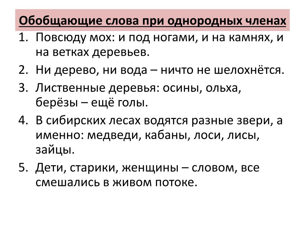 Предложение с никуда. Обобщающее слово. Повсюду мох и под ногами и на камнях и на ветвях деревьев. Обобщающие слова при однородных членах. Текст с однородными членами предложения.