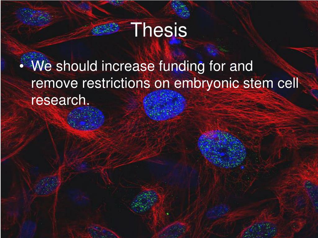 embryonic stem cell research thesis