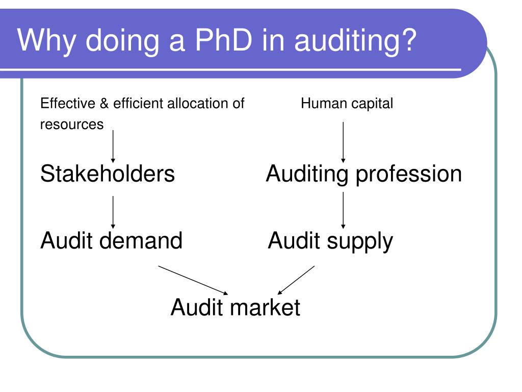 phd in auditing in uk universities