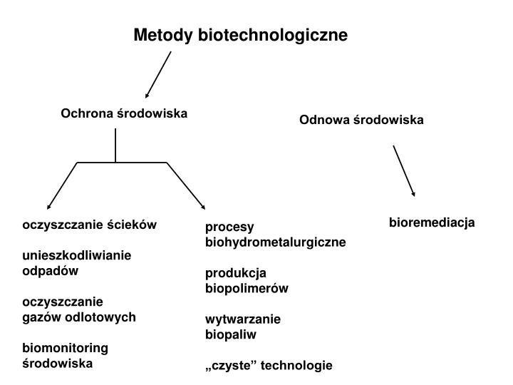 Biotechnologia Tradycyjna Biotechnologia W Ochronie środowiska Odpowiedzi PPT - METODY BIOTECHNOLOGICZNE W OCHRONIE ŚRODOWISKA PowerPoint