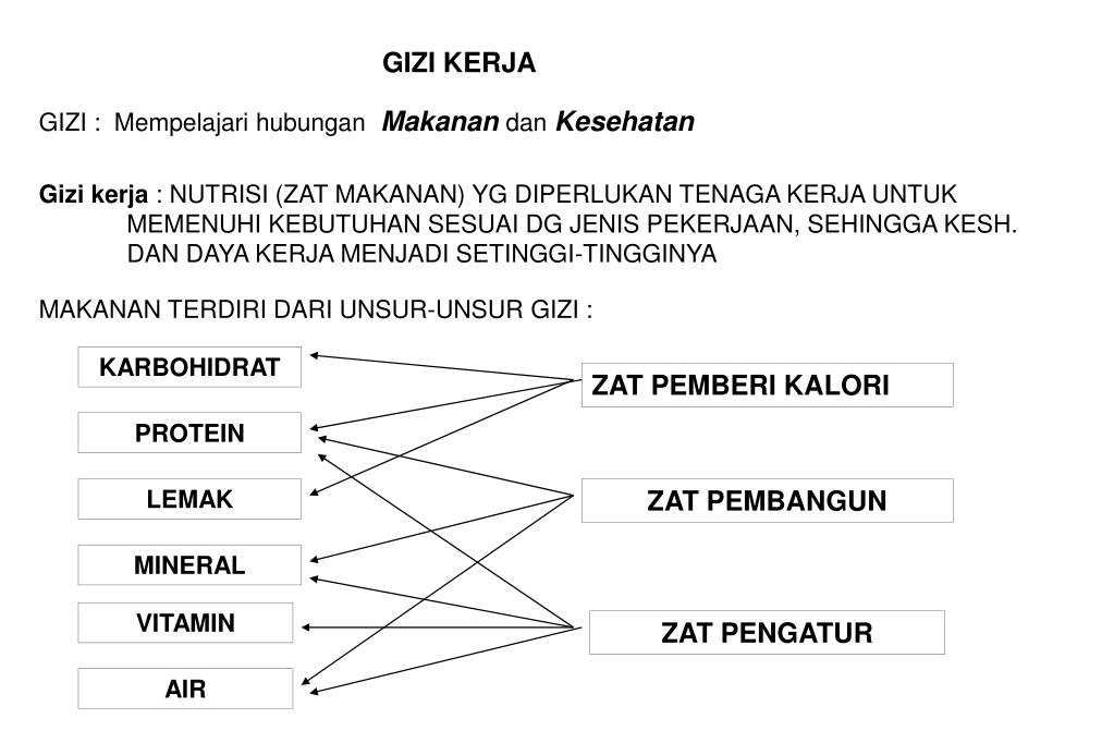 21++ Unsur unsur gizi sebagai pengatur ideas in 2021 