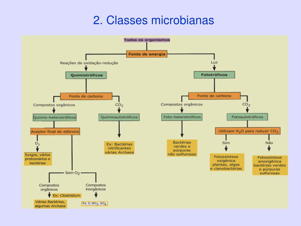 Ayuda con definición de metabolismo