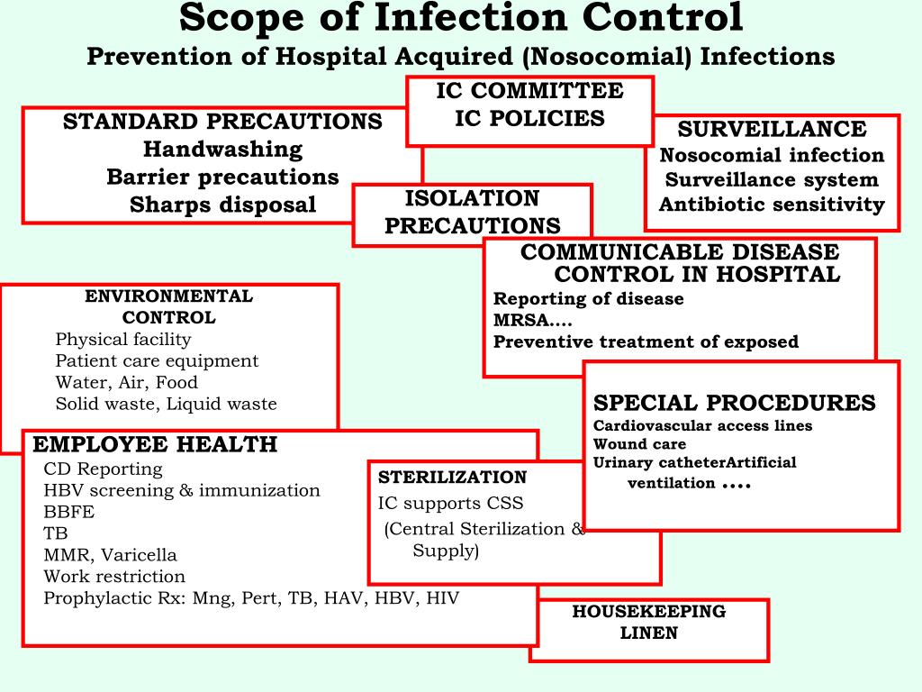 infection control business plan