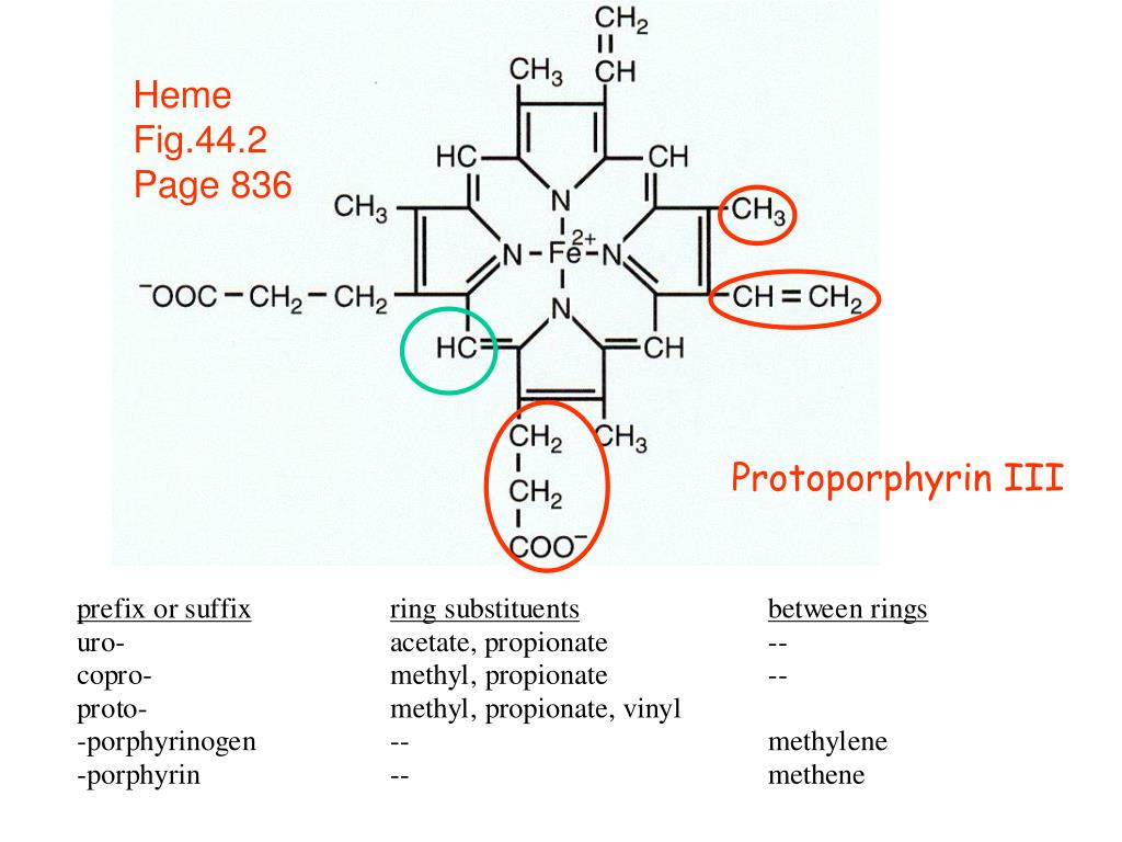 Протопорфирин. Протопорфирин IX. Heme. Протопорфирин формула.
