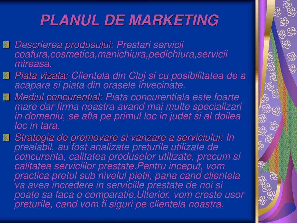 PPT - PLANUL DE AFACERI PowerPoint Presentation, free download - ID:5635312