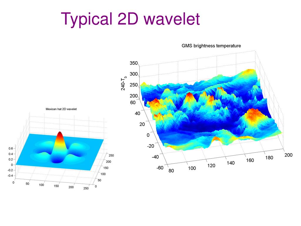 wavelet transform wavelet transform