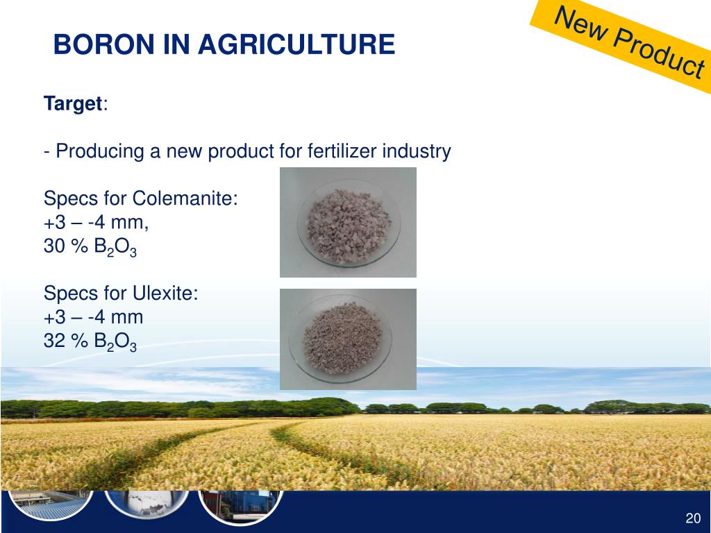 PPT Eti Maden The Leader of World Boron Market PowerPoint