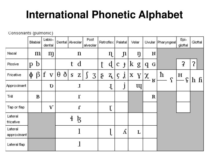 PPT - International Phonetic Alphabet PowerPoint Presentation - ID:5636271